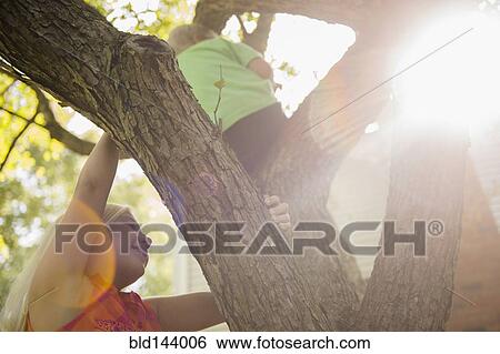 Stock Photograph - Low angle view of Caucasian children climbing tree. Fotosearch