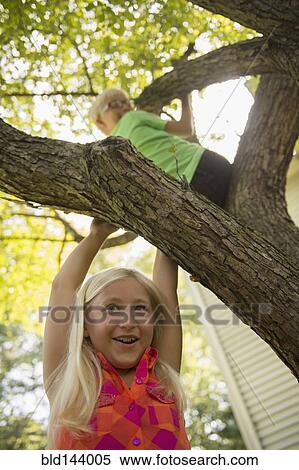 Stock Photography - Low angle view of Caucasian children climbing tree. Fotosearch