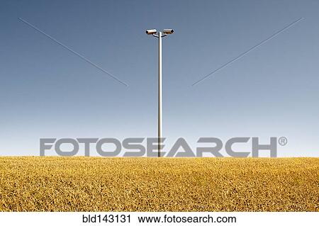 Low angle view of security cameras in crop field View Large Photo Image Stock Image - Low angle view of security cameras in crop field. Fotosearch