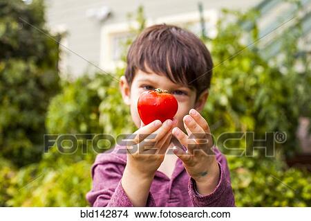 Picture - Mixed race boy admiring fresh fruit in garden. Fotosearch