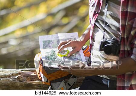 Mixed race hiker reading map in forest View Large Photo Image Stock Photography - Mixed race hiker reading map in forest. Fotosearch