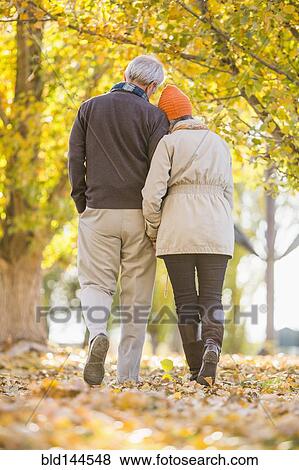 Older Caucasian couple walking under autumn trees View Large Photo Image Stock Photo - Older Caucasian couple walking under autumn trees. Fotosearch