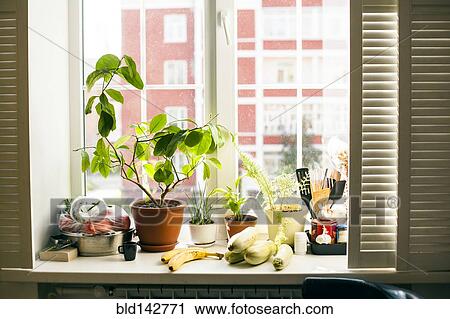 Potted plants and food on window sill View Large Photo Image Stock Image - Potted plants and food on window sill. Fotosearch