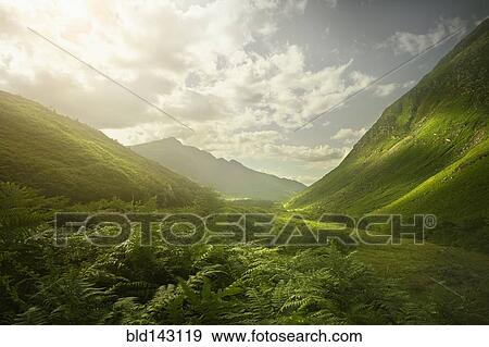 Rolling green hills in remote landscape View Large Photo Image Stock Photo - Rolling green hills in remote landscape. Fotosearch