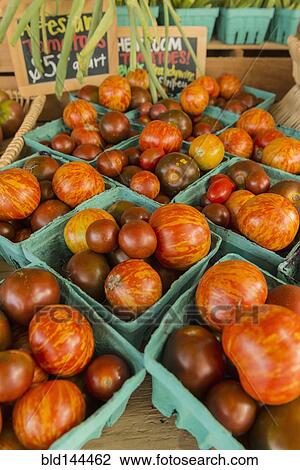 Variety of tomatoes at farmers market View Large Photo Image Stock Image - Variety of tomatoes at farmers market. Fotosearch
