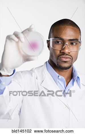 African American scientist looking at petri dish View Large Photo Image Stock Image - African American scientist looking at petri dish. Fotosearch