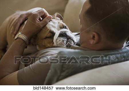 Black man petting English bulldog View Large Photo Image Stock Photo - Black man petting English bulldog. Fotosearch