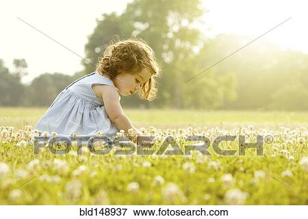 Caucasian girl picking flowers in field View Large Photo Image Stock Photo - Caucasian girl picking flowers in field. Fotosearch