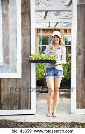 Caucasian woman holding tray of plants View Large Photo Image Stock Photo - Caucasian woman holding tray of plants. Fotosearch