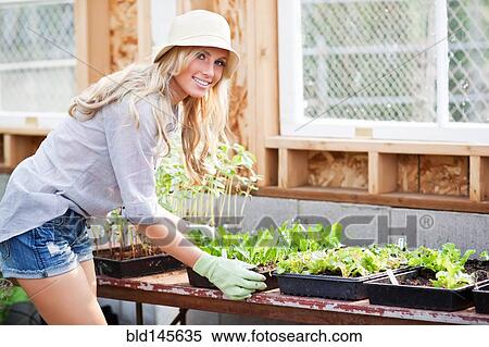 Caucasian woman holding tray of plants View Large Photo Image Stock Photography - Caucasian woman holding tray of plants. Fotosearch