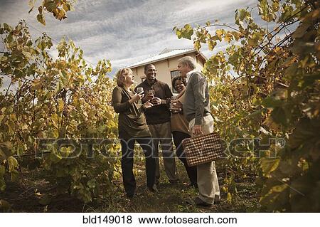 Stock Photo - Friends drinking wine in vineyard. Fotosearch