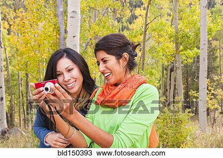 Friends looking at digital camera in forest View Large Photo Image Stock Image - Friends looking at digital camera in forest. Fotosearch