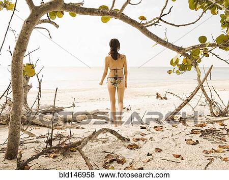 Hispanic woman in bikini standing on beach View Large Photo Image Stock Photo - Hispanic woman in bikini standing on beach. Fotosearch