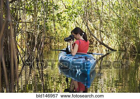 Hispanic woman in kayak photographing everglades View Large Photo Image Stock Photo - Hispanic woman in kayak photographing everglades. Fotosearch