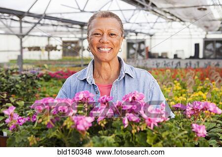 Mixed race woman standing with flowers in plant nursery View Large Photo Image Stock Photo - Mixed race woman standing with flowers in plant nursery. Fotosearch
