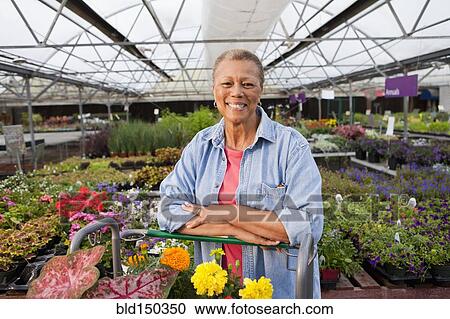 Mixed race woman working in plant nursery View Large Photo Image Stock Image - Mixed race woman working in plant nursery. Fotosearch