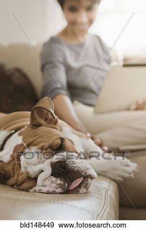 Stock Photo - Native American woman sitting on sofa with English bulldog. Fotosearch