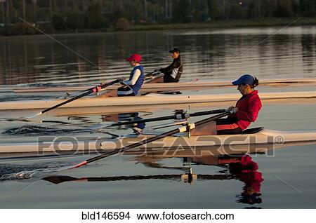 Picture - People rowing sculling boats on river. Fotosearch