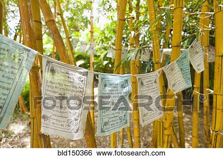 Prayer flags hanging from bamboo stalks View Large Photo Image Stock Photograph - Prayer flags hanging from bamboo stalks. Fotosearch