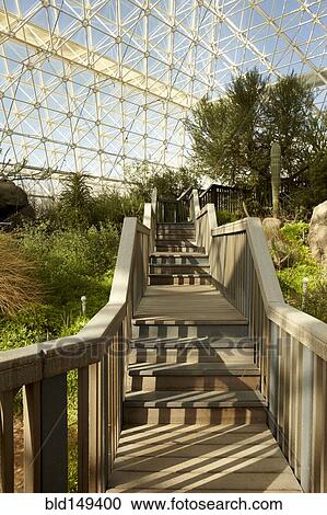 Walkway and plants in greenhouse View Large Photo Image Stock Image - Walkway and plants in greenhouse. Fotosearch