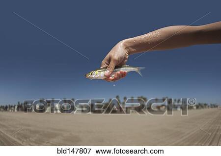 Stock Photo - Woman holding live, dripping fish. Fotosearch