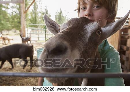 Caucasian boy hugging goat on farm View Large Photo Image Stock Photograph - Caucasian boy hugging goat on farm. Fotosearch