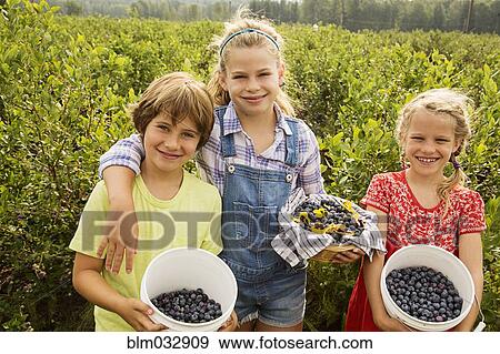 Caucasian children holding baskets of blueberries on farm View Large Photo Image Stock Photo - Caucasian children holding baskets of blueberries on farm. Fotosearch