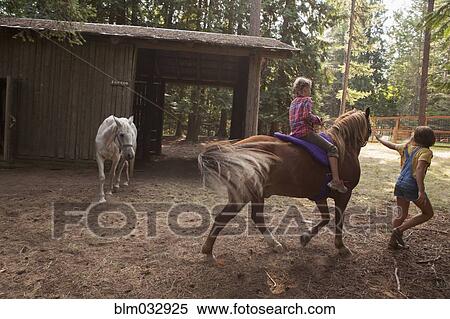 Caucasian children riding horse on farm View Large Photo Image Stock Photography - Caucasian children riding horse on farm. Fotosearch