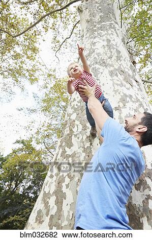 Caucasian father lifting baby son under tree View Large Photo Image Stock Image - Caucasian father lifting baby son under tree. Fotosearch