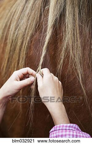 Close up of girl braiding mane of horse View Large Photo Image Stock Image - Close up of girl braiding mane of horse. Fotosearch