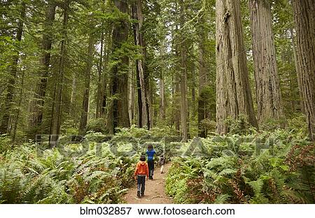 Stock Photo - Mixed race children walking in forest. Fotosearch