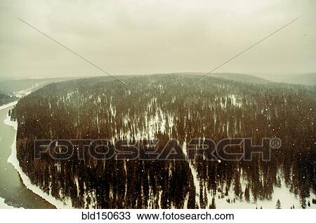 Stock Image - Aerial view of snowy remote forest. Fotosearch
