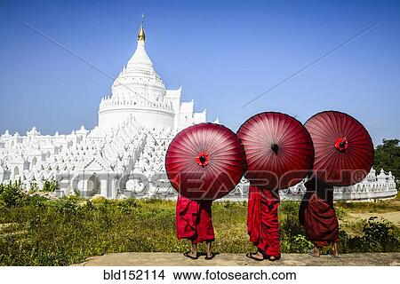 Picture - "Asian monks under umbrellas viewing historic temple, Mingun, Mandala, Myanmar". Fotosearch