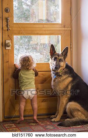 Stock Image - Caucasian baby and dog looking out window. Fotosearch
