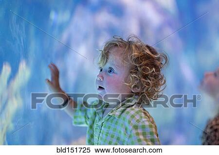 Caucasian baby boy admiring fish in aquarium View Large Photo Image Stock Photography - Caucasian baby boy admiring fish in aquarium. Fotosearch