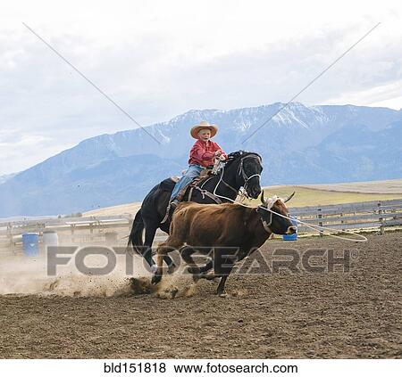 Stock Photo - Caucasian boy chasing cattle at rodeo. Fotosearch