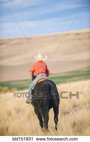 Stock Image - Caucasian boy riding horse in grassy field. Fotosearch