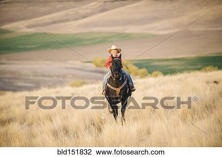 Caucasian boy riding horse in grassy field View Large Photo Image Stock Image - Caucasian boy riding horse in grassy field. Fotosearch