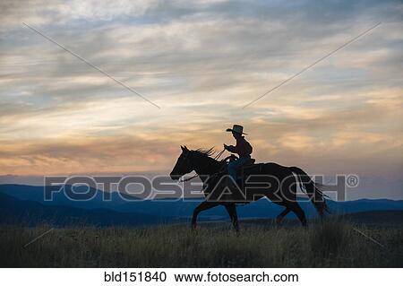 Stock Image - Caucasian boy riding horse in grassy field. Fotosearch