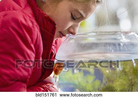 Stock Image - Caucasian girl examining goldfish in bowl. Fotosearch