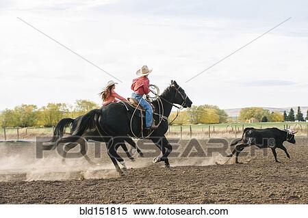 Stock Photography - Caucasian herders chasing cattle at rodeo. Fotosearch