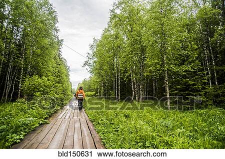 Caucasian hiker on wooden walkway in forest View Large Photo Image Stock Image - Caucasian hiker on wooden walkway in forest. Fotosearch