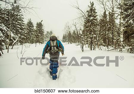 Caucasian hiker walking in deep snow View Large Photo Image Stock Photo - Caucasian hiker walking in deep snow. Fotosearch