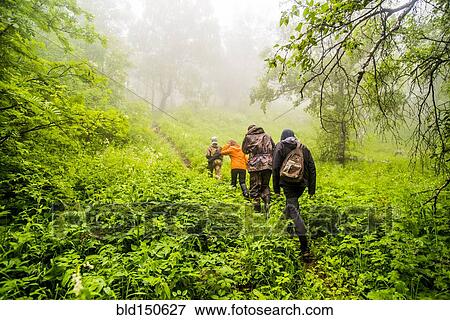 Caucasian hikers walking in misty forest View Large Photo Image Stock Photo - Caucasian hikers walking in misty forest. Fotosearch