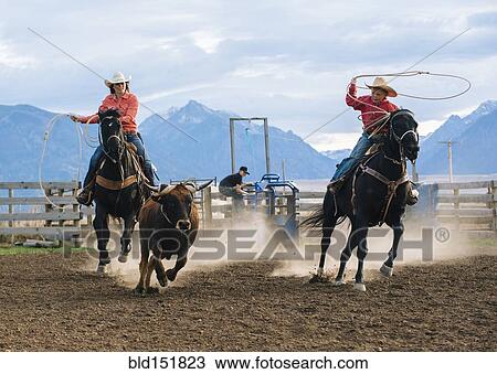Stock Image - Caucasian mother and son chasing cattle at rodeo. Fotosearch