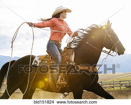 Picture - Caucasian woman on horse throwing lasso at rodeo. Fotosearch