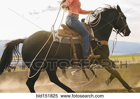 Stock Photography - Caucasian woman on horse throwing lasso at rodeo. Fotosearch