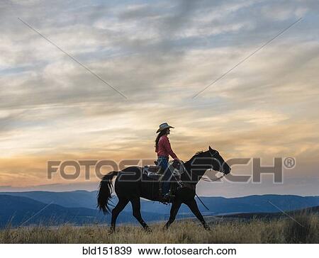 Caucasian woman riding horse in grassy field View Large Photo Image Stock Photo - Caucasian woman riding horse in grassy field. Fotosearch