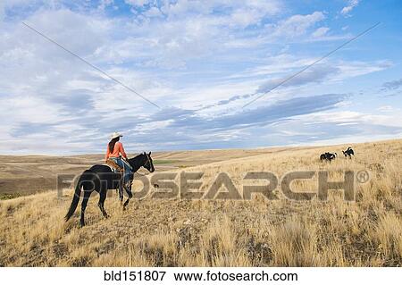 Caucasian woman riding horse on grassy hill View Large Photo Image Stock Photo - Caucasian woman riding horse on grassy hill. Fotosearch