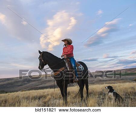 Stock Image - Caucasian woman sitting on horse in grassy field. Fotosearch